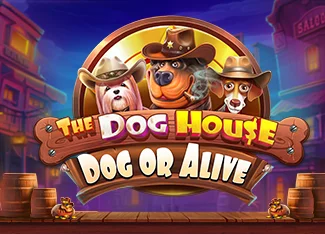The Dog House Megaways İstatistik Raporu | 96.55% RTP